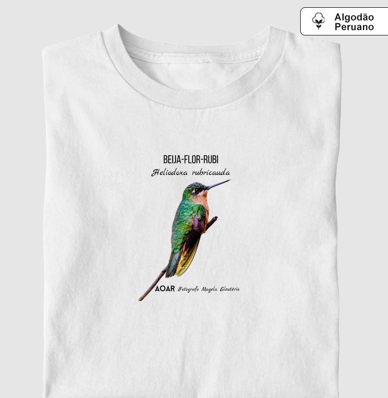 Aves da mata atlântica com Magela Eleutério BEIJA-FLOR-RUBI