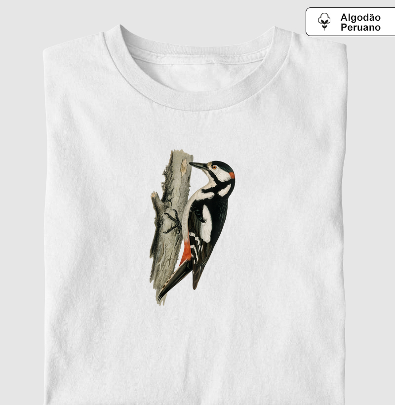 Great spotted woodpecker