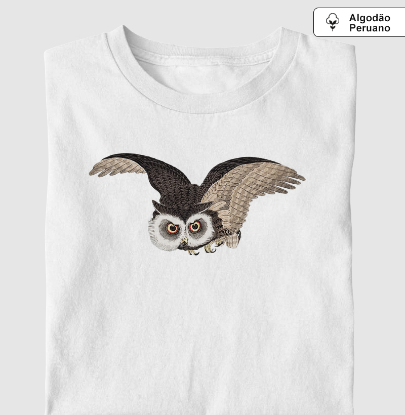 Scops Owl