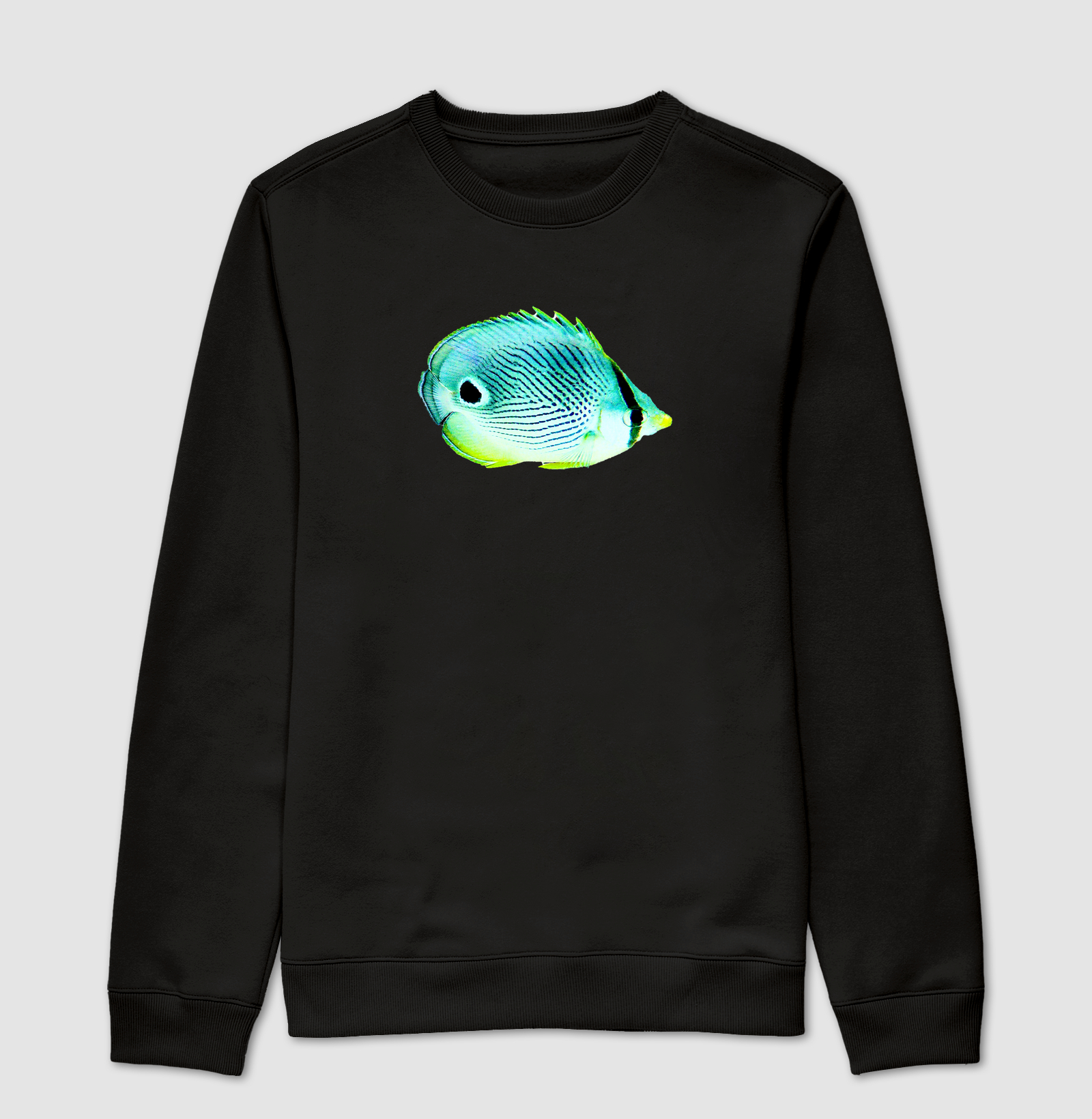 Peixe Borboleta