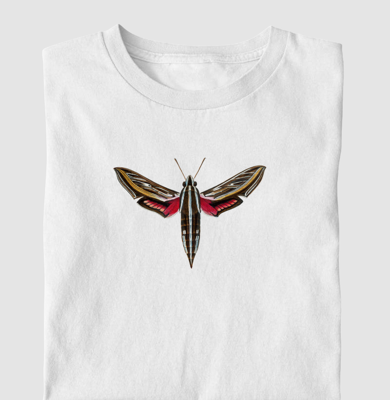 Mariposa