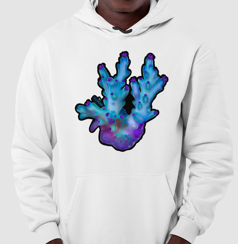 Acropora 