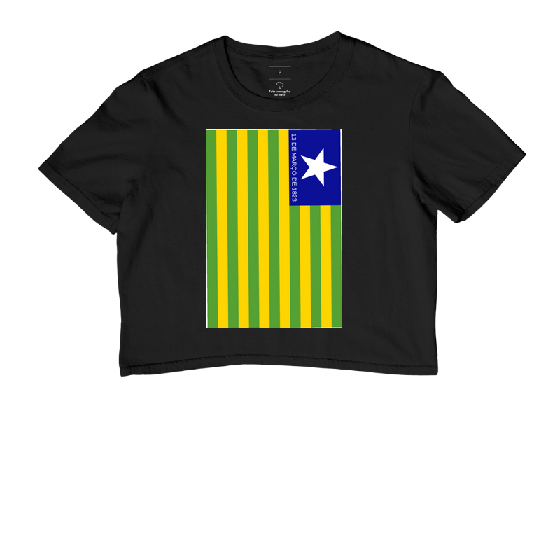 Camisa bandeira do Piaui