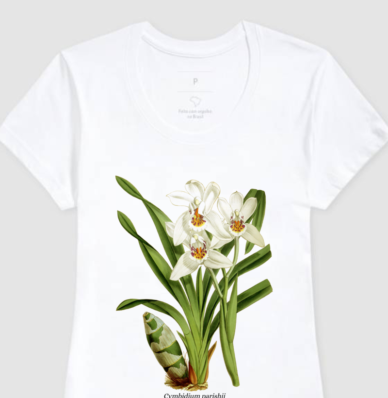 Baby Look Cymbidium parishii