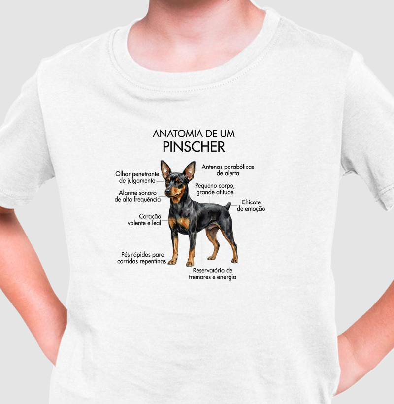 Anatomia Pinscher