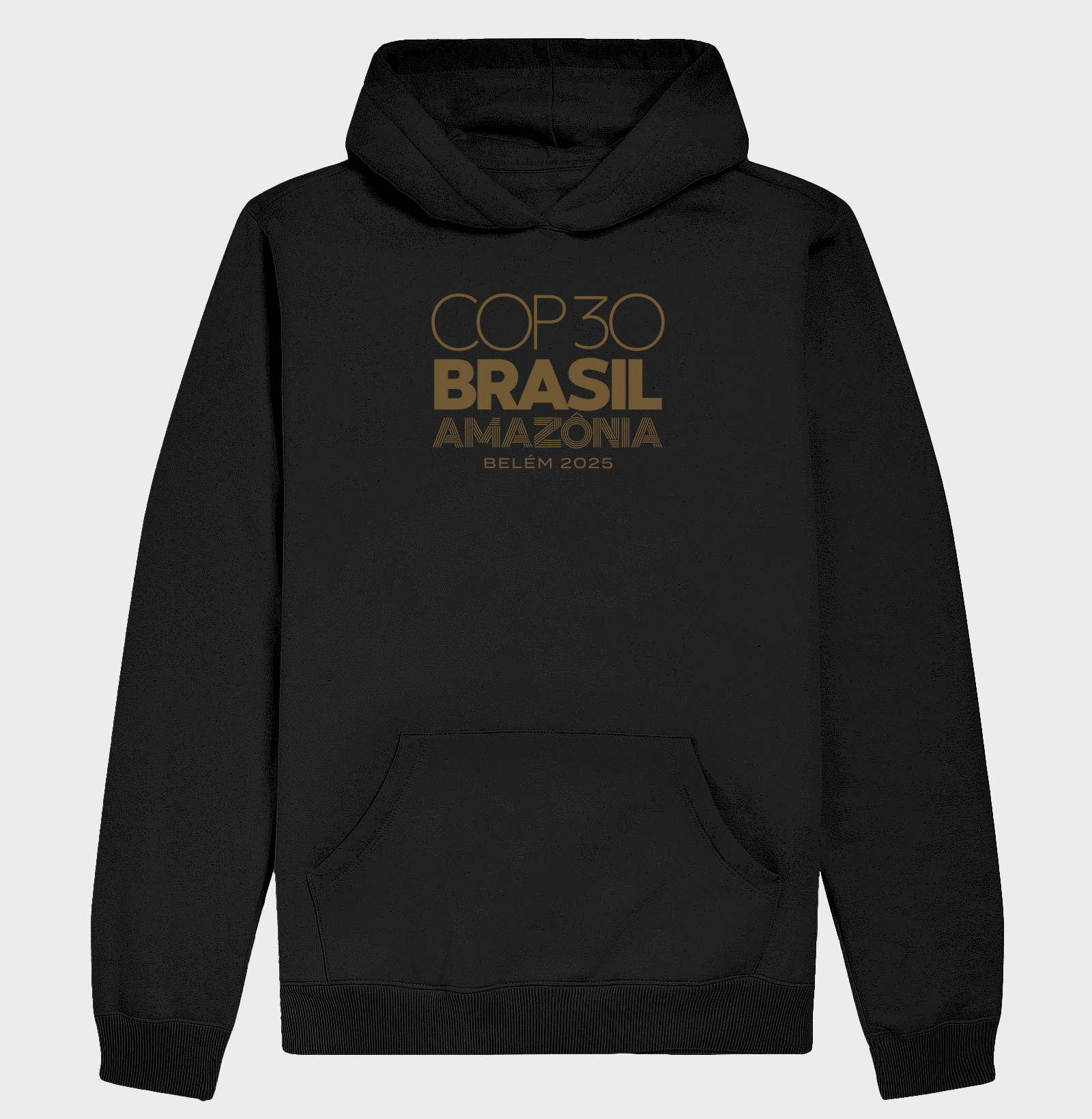 COP30
