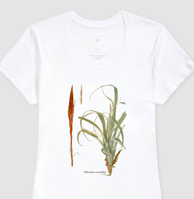 Camiseta Feminina Tillandsia variabilis