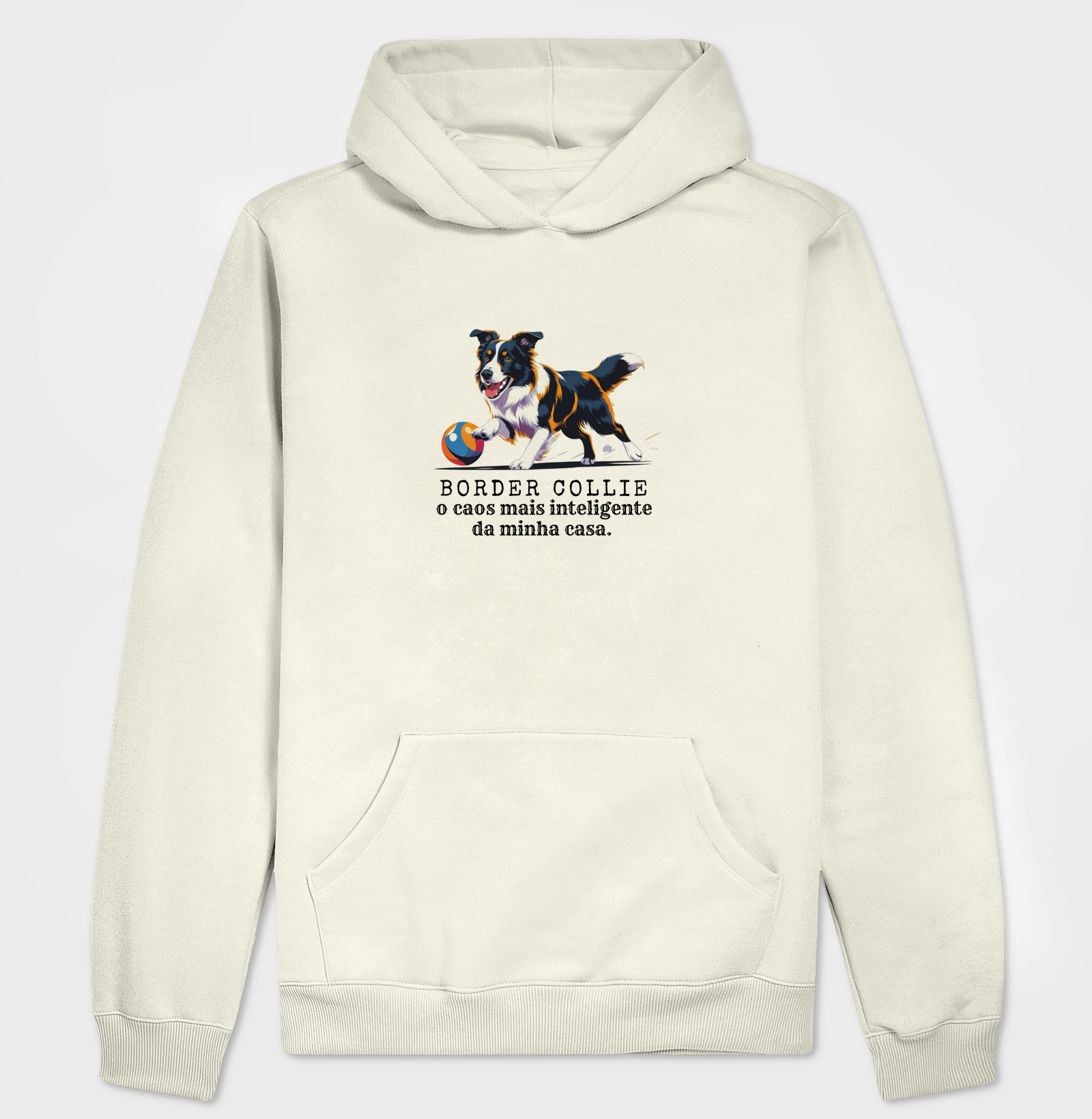 Border Collie, o caos mais inteligente da minha casa!