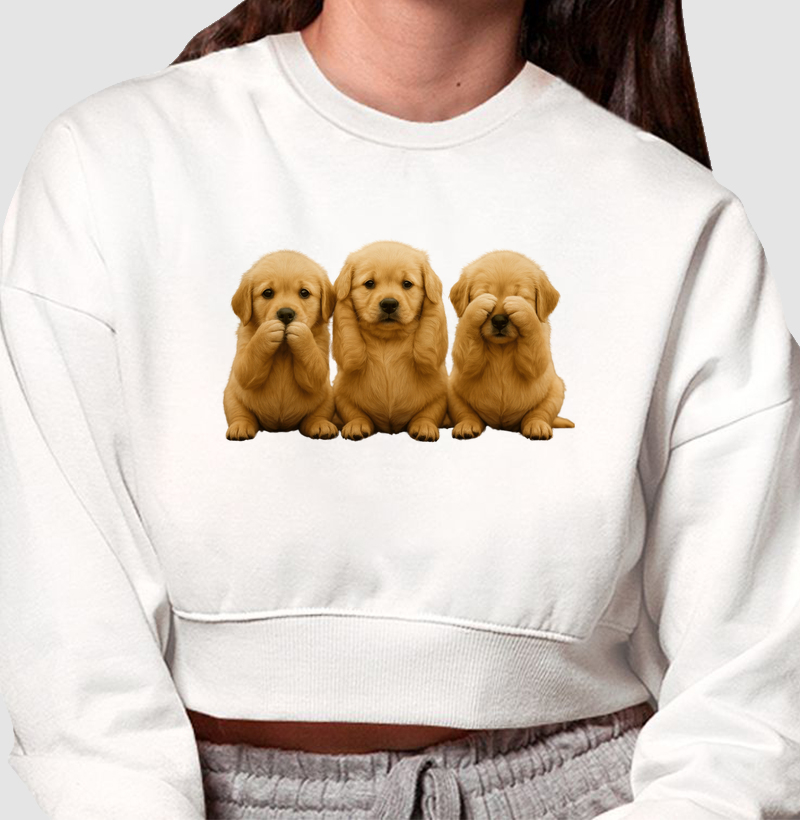 3 Goldens Sábios