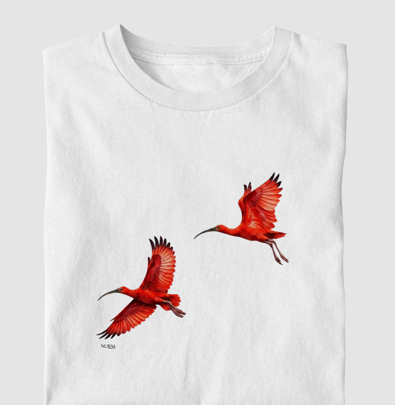 Sinfonia dos Guarás