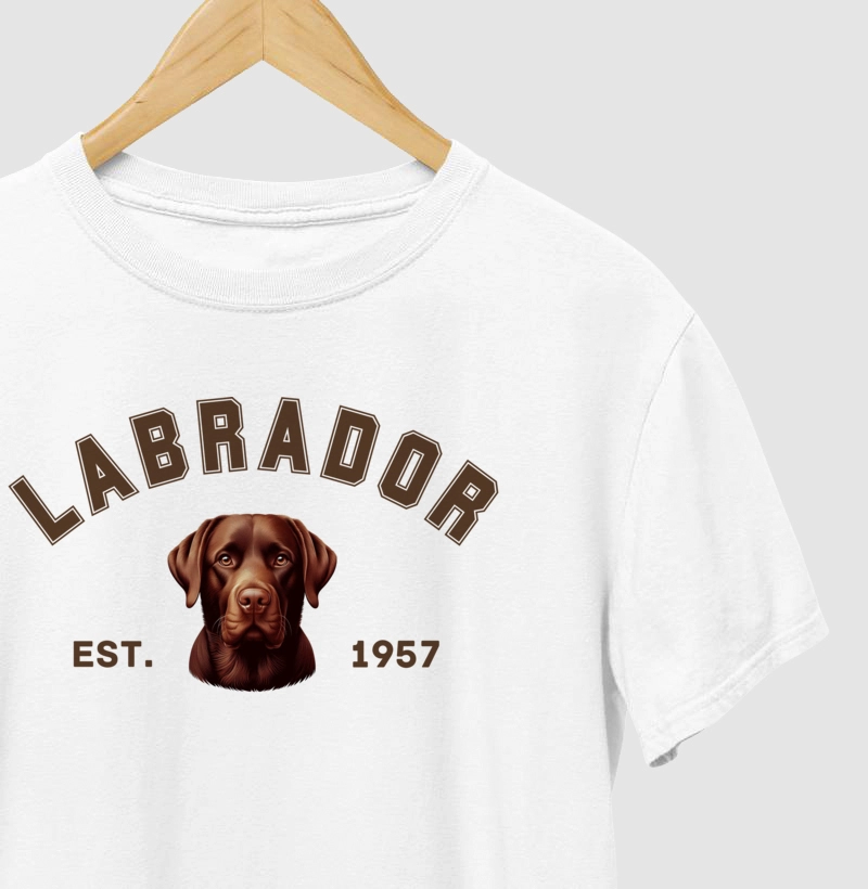 College - Labrador Chocolate