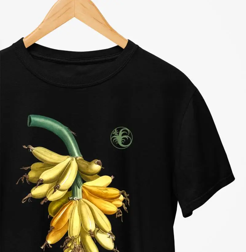 MUSA