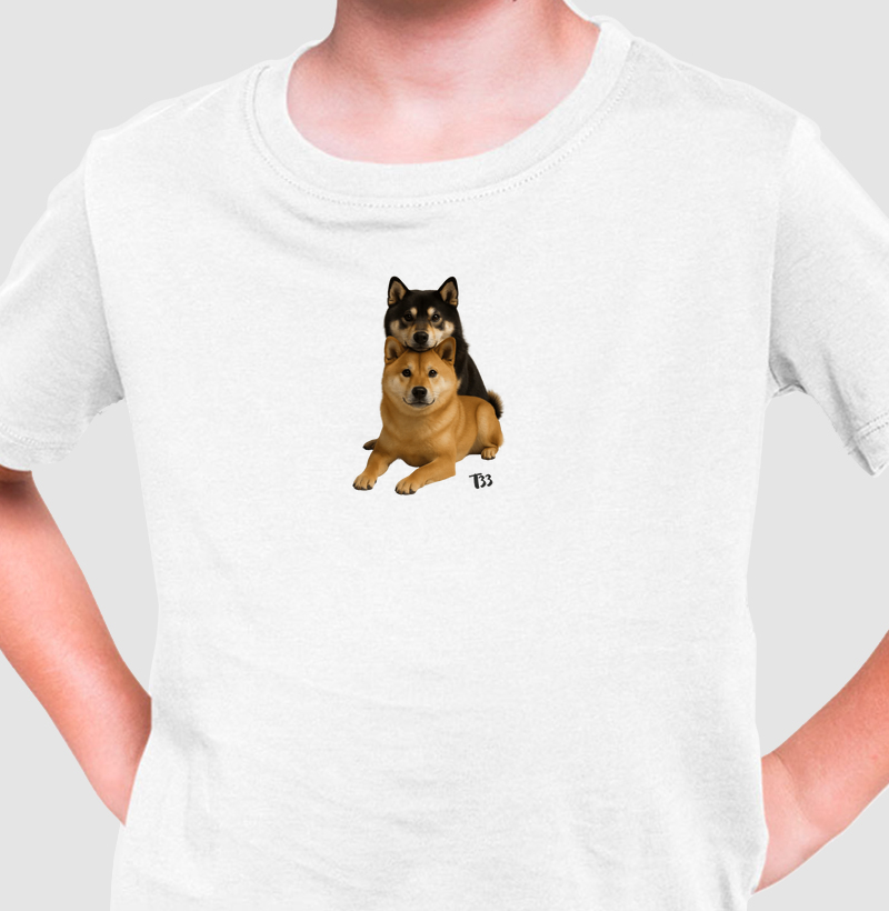 Cão Shiba Inu Picture