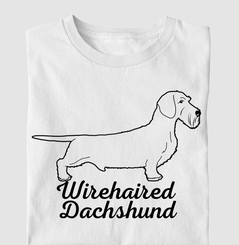 Wirehaired Dachshund 02