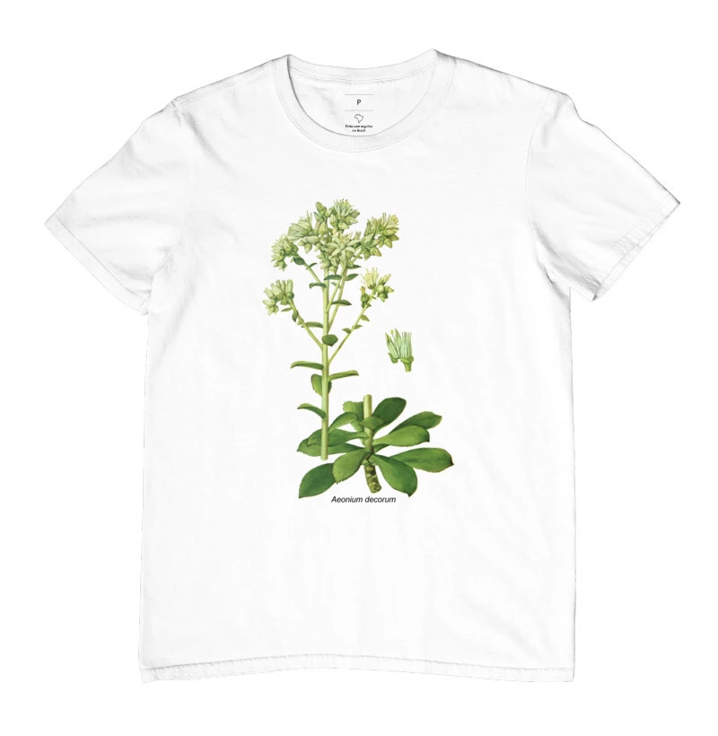Camiseta Aeonium decorum ( Suculenta )