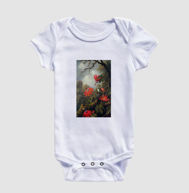 Hummingbird and Passionflowers