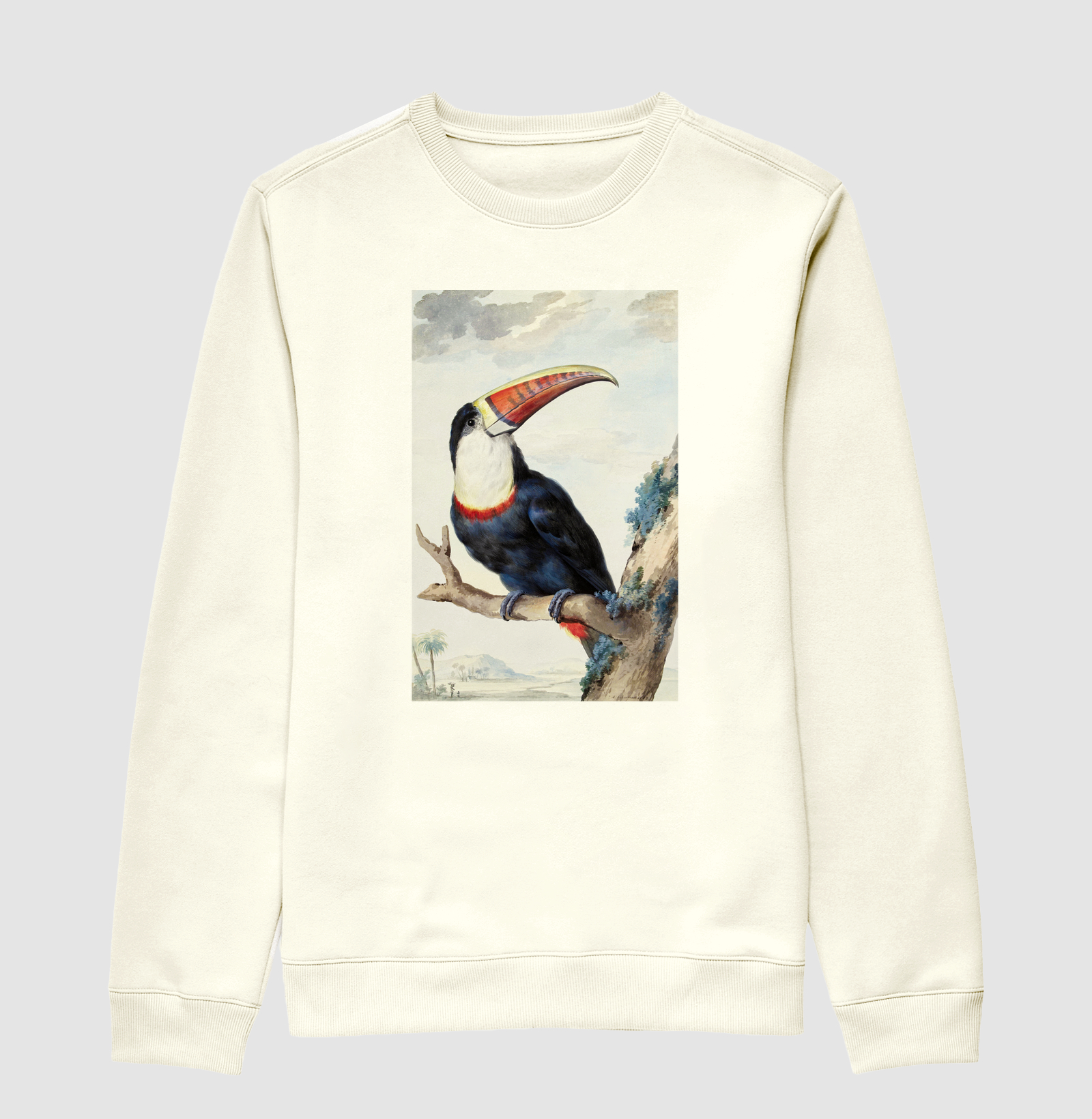 Tucano-de-papo-branco