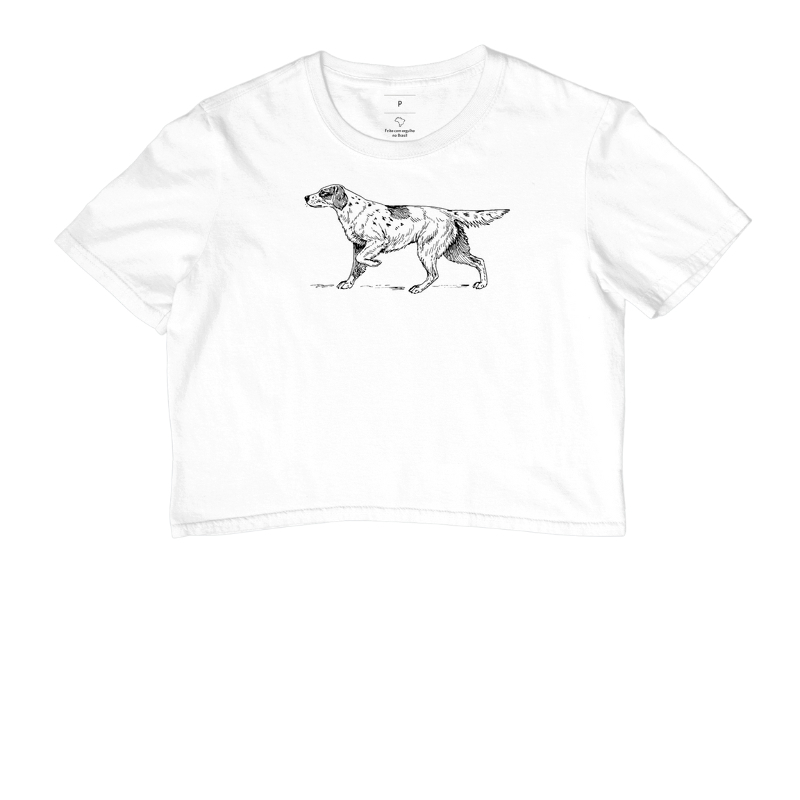 Setter dog