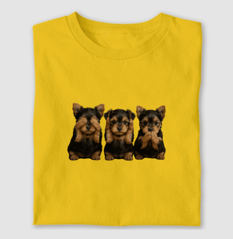 3 Yorkshire Sábios