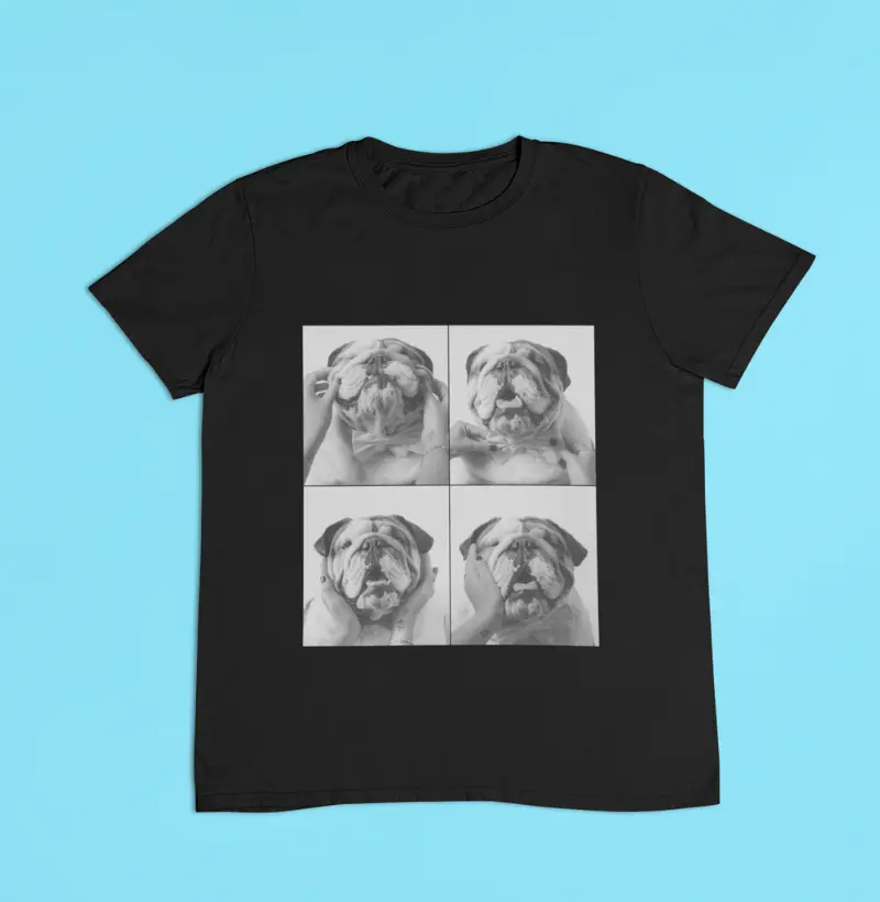 Bulldogs Preto e Branco