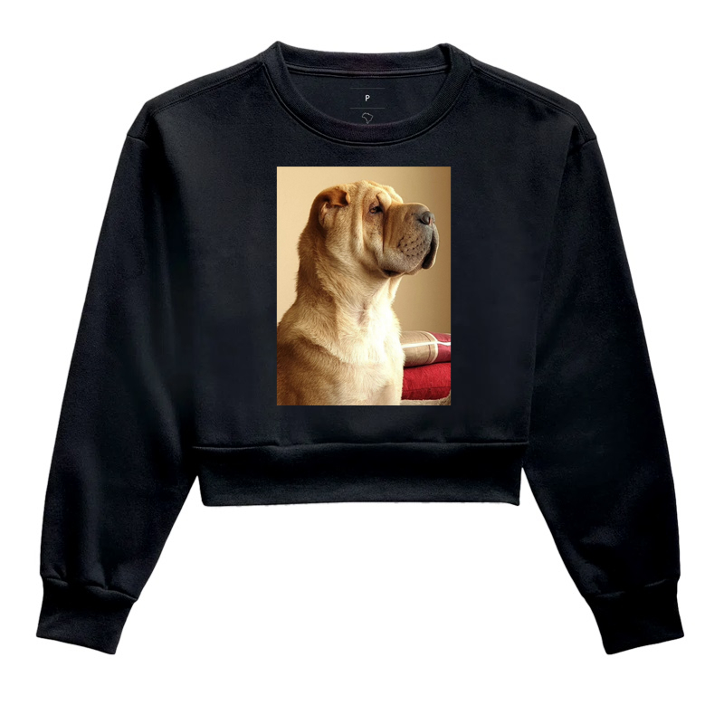 Sharpei Perfil