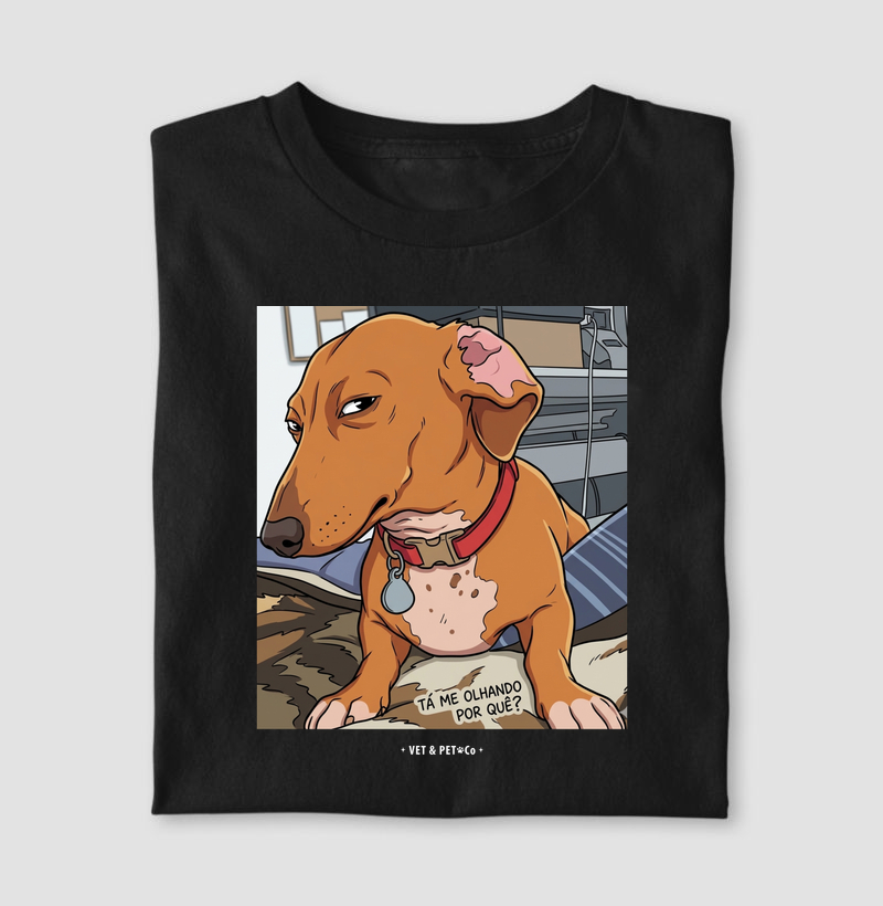Tá me olhando por quê? (Dachshund)