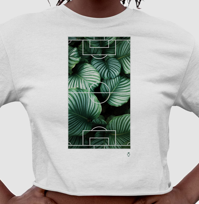 Plantas em campo!