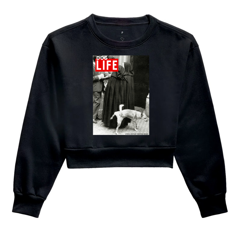 Dog Life