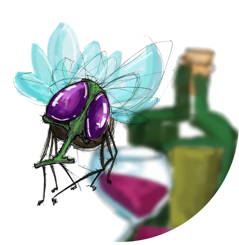 Aquela da mosca que ama um cabernet