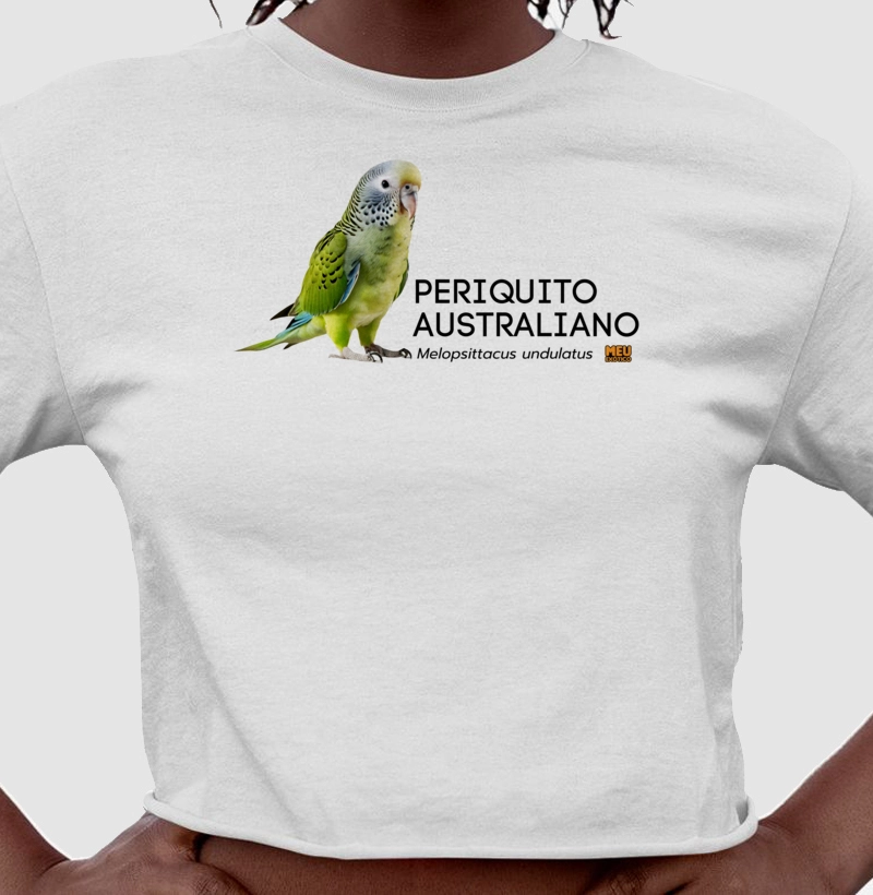 Periquito asutraliano