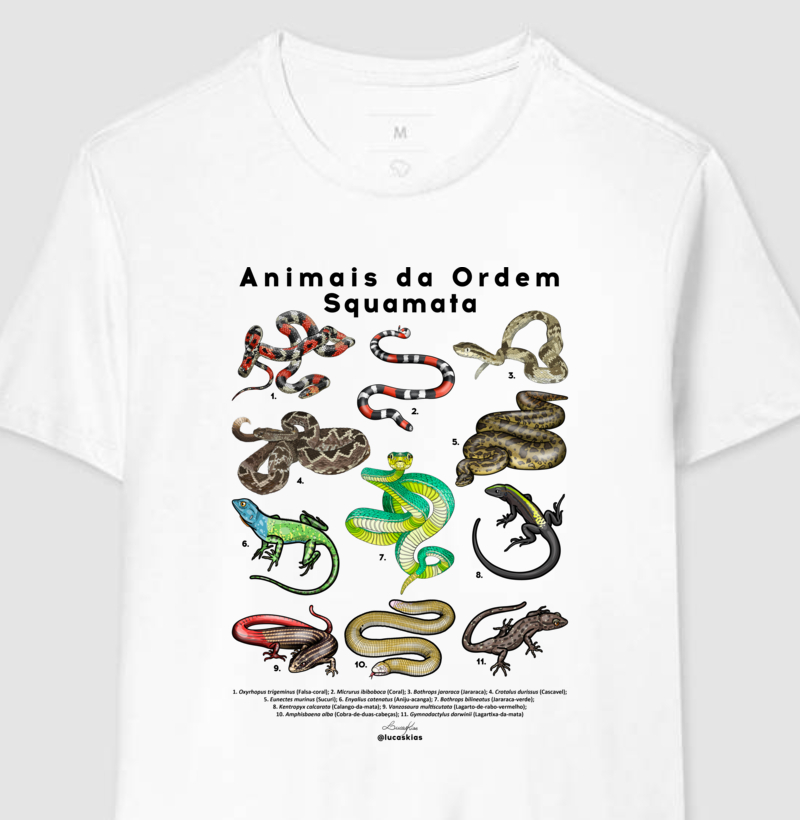 Animais da Ordem Squamata - Modelo A