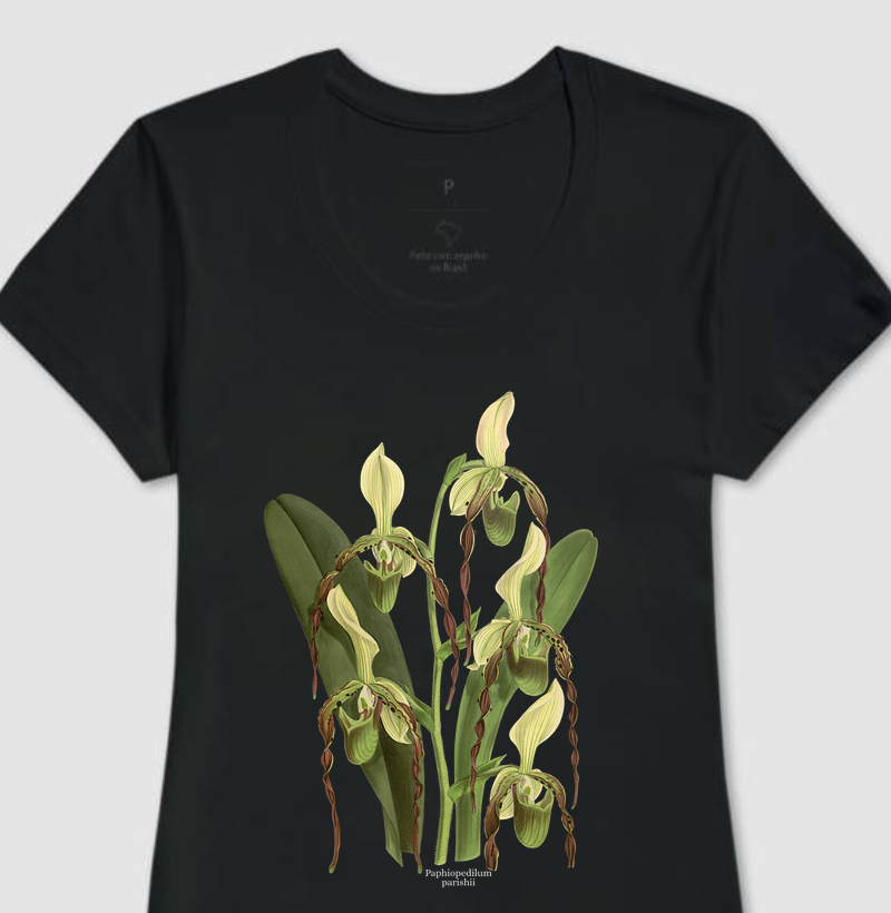 Camiseta Feminina Paphiopedilum parishii