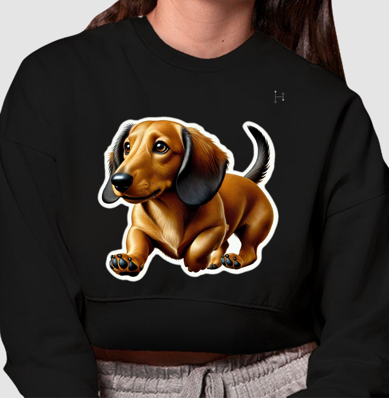 Dachshund 