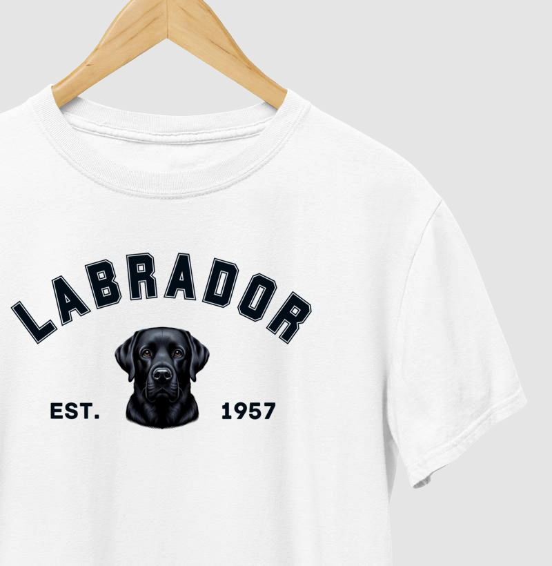 College - Labrador Preto