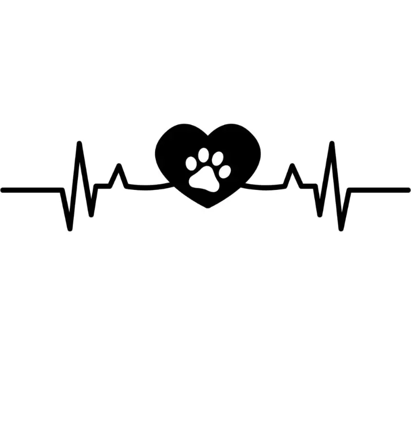 Camiseta batimento Dog