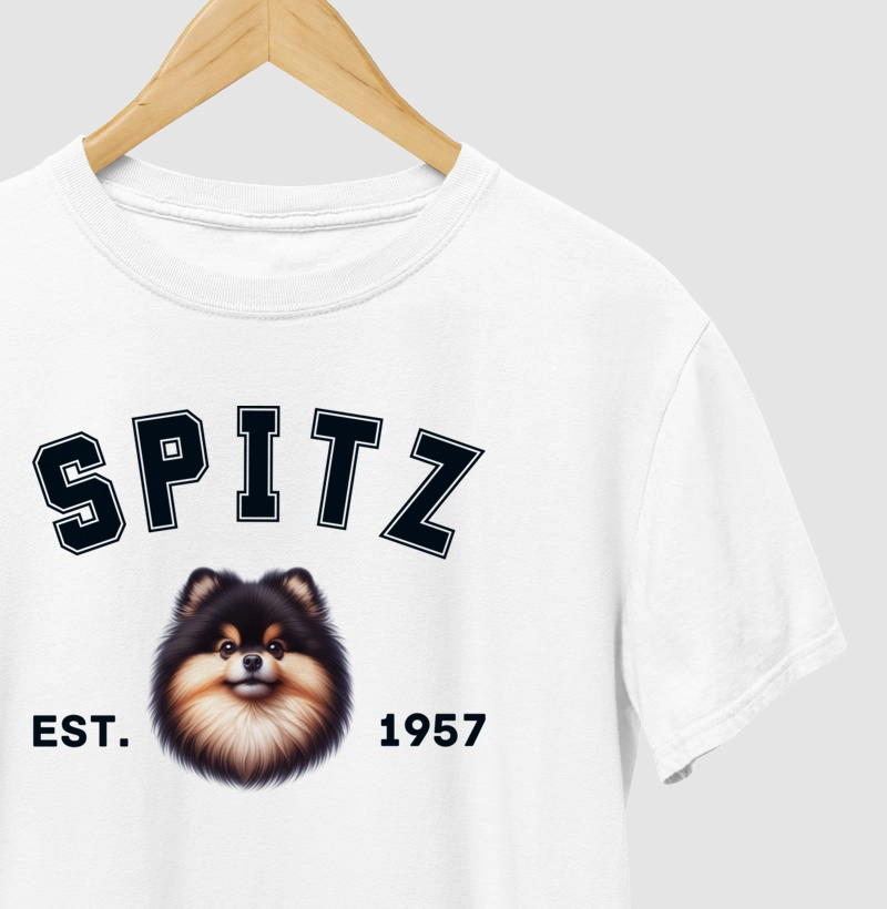 College - Spitz