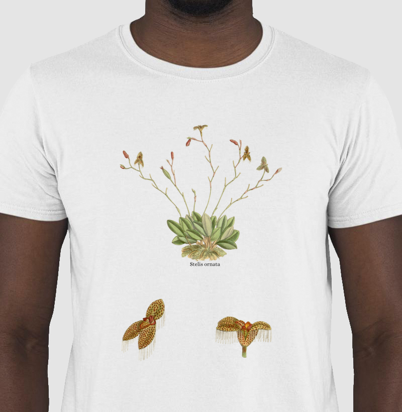 Camiseta T-Shirt Stelis ornata