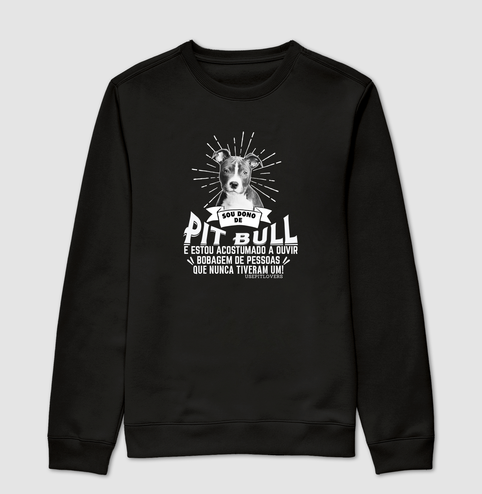 SOU DONO DE PIT BULL E ESTOU ACOSTUMADO A OUVIR BOBAGEM DE PESSOAS QUE NUNCA TIVERAM UM!