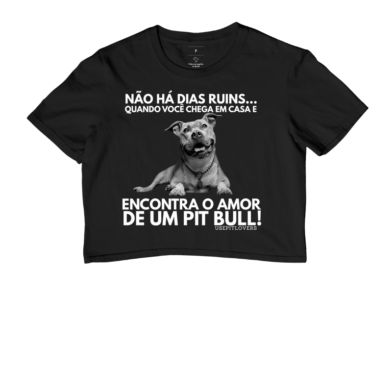 NÃO HÁ DIAS RUINS... QUANDO VOCÊ CHEGA EM CASA E ENCONTRA O AMOR DE UM PIT BULL