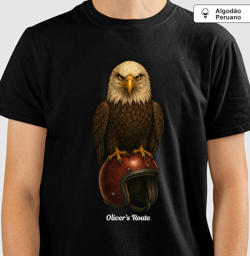 The Eagle and the Helmet