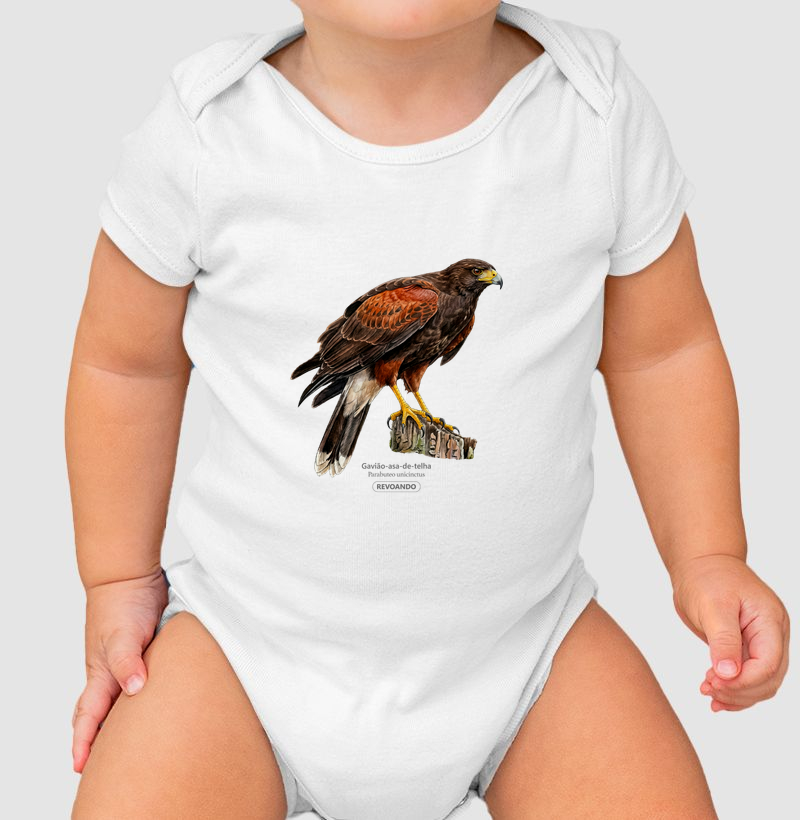 Traços Alados - Gavião-asa-de-telha - Body Infantil