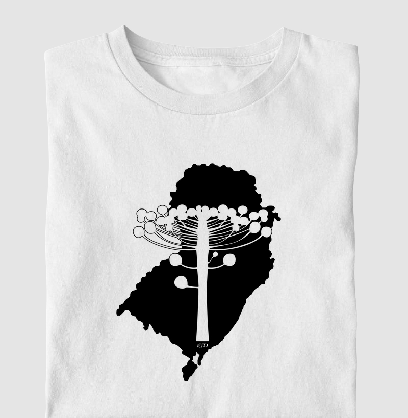 Araucária e mapa do sul