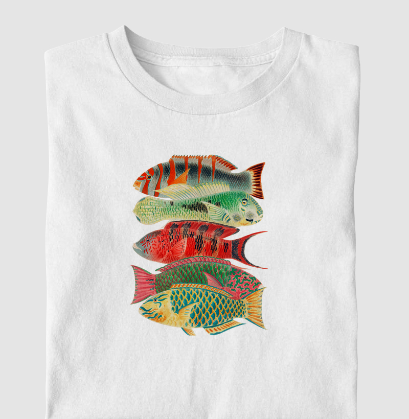 Great Barrier Reef Fishes