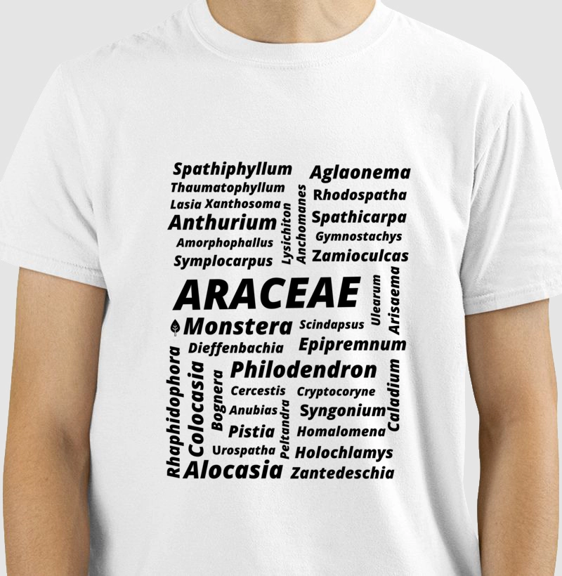 Família Araceae