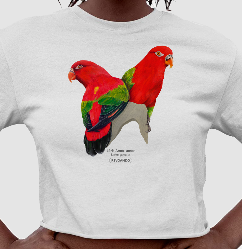 Love Friends - Loris Amor-amor - Cropped