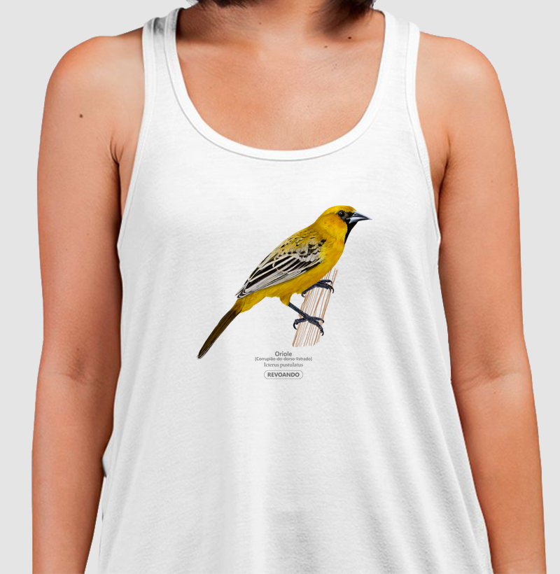 Traços Alados - Oriole - Regata