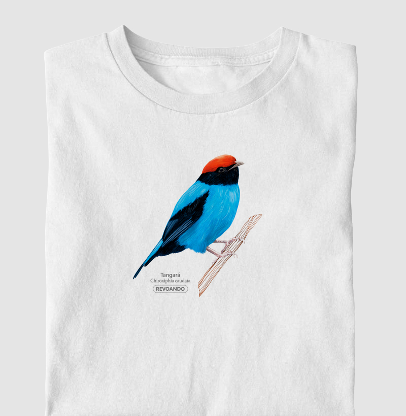 Aves do Brasil - Tangará - Infantil