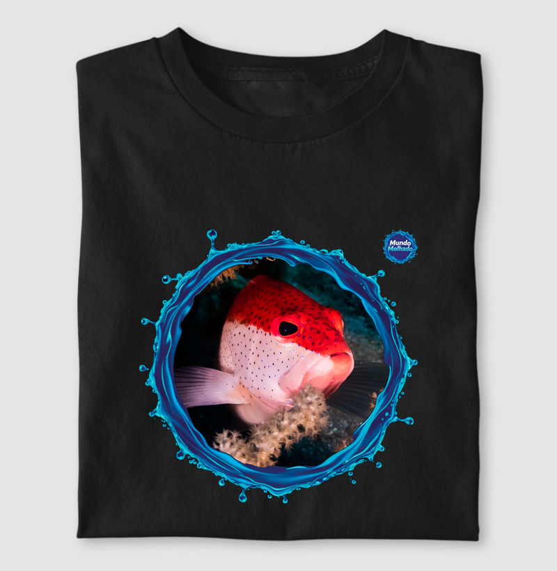 Garoupa Bicolor - Mar de Cortez