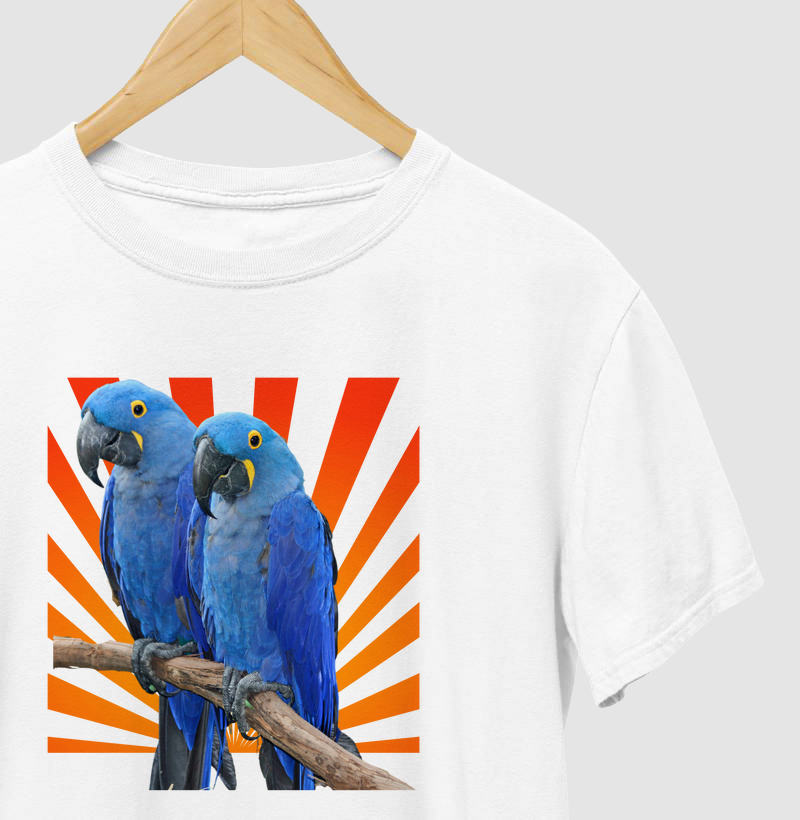 arara azul dupla