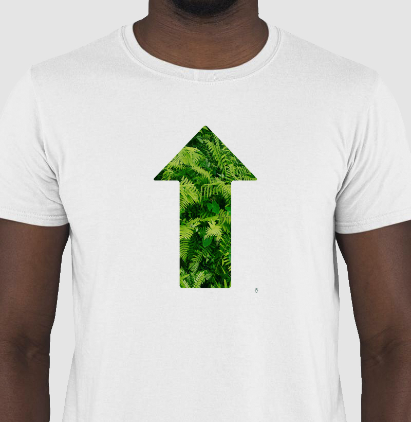Siga o caminho da Natureza